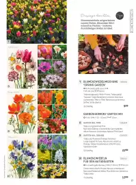 Starkl Flugblatt Seite 14