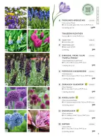 Starkl Flugblatt Seite 6