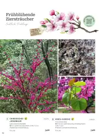 Starkl Flugblatt Seite 3