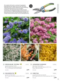 Starkl Flugblatt Seite 4