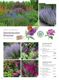 Starkl Flugblatt Seite 7