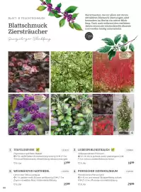 Starkl Flugblatt Seite 9
