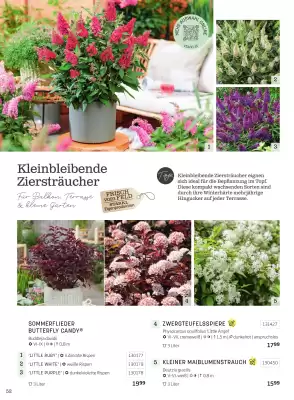 Starkl Flugblatt (gültig bis 30-11)