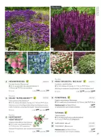 Starkl Flugblatt Seite 12