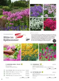 Starkl Flugblatt Seite 13