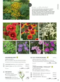 Starkl Flugblatt Seite 14
