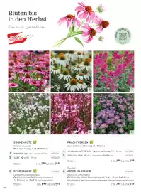 Starkl Flugblatt Seite 15