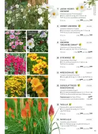 Starkl Flugblatt Seite 16