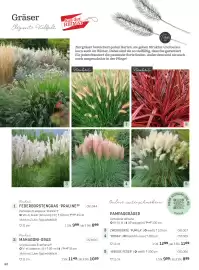 Starkl Flugblatt Seite 17