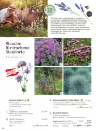 Starkl Flugblatt Seite 19
