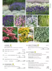 Starkl Flugblatt Seite 20
