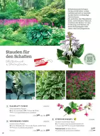 Starkl Flugblatt Seite 21