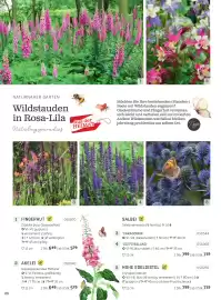 Starkl Flugblatt Seite 3