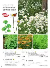 Starkl Flugblatt Seite 5