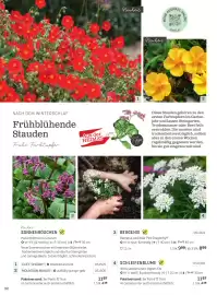 Starkl Flugblatt Seite 7