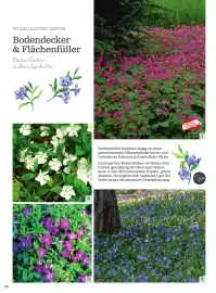 Starkl Flugblatt Seite 1