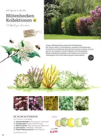 Starkl Flugblatt Seite 3