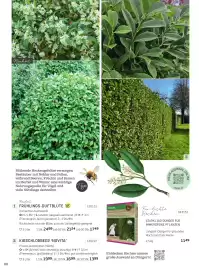 Starkl Flugblatt Seite 7