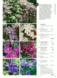Starkl Flugblatt Seite 4