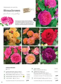 Starkl Flugblatt Seite 3