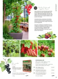 Starkl Flugblatt Seite 4