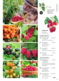 Starkl Flugblatt Seite 6