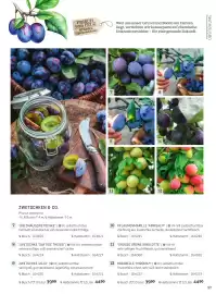 Starkl Flugblatt Seite 14