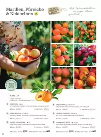 Starkl Flugblatt Seite 15