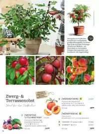 Starkl Flugblatt Seite 3