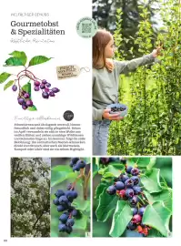 Starkl Flugblatt Seite 7