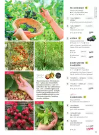Starkl Flugblatt Seite 8