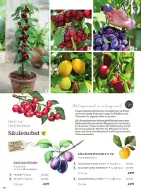 Starkl Flugblatt Seite 9