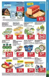Stokrotka Market gazetka tydzień 37 Strona 13