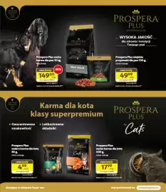 Kakadu gazetka Strona 7