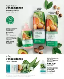 Catálogo Avon Página 158