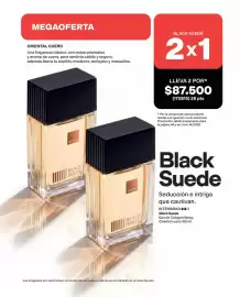 Catálogo Avon Página 217