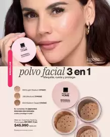 Catálogo Avon Página 29: Avon - make up + care polvo facial €45.990,00
