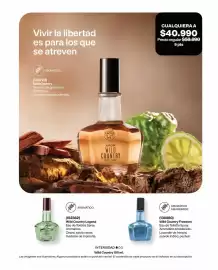 Catálogo Avon Página 64: Avon - wild country eau de cologne spray €40.990,00