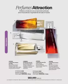 Catálogo Avon Página 67