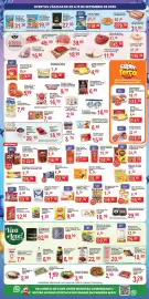 Catálogo Federzoni Supermercados semana 37 Página 2: Filé de tilápia canção €19,99, Suco Proteico Prat's Pro+ Laranja €6,99