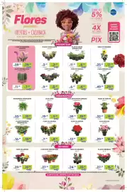 Encarte Prezunic Página 1: Flor mini crisântemo €17,99, Planta pimenta ornamental €13,99