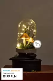 Sinsay gazetka Strona 4: Dekoracja LED €19,99