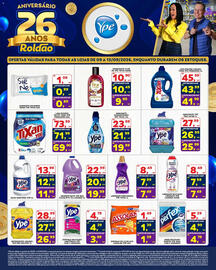 Folheto Roldão semana 37 Página 6: Tixan ypê - lava roupas líquido primavera €45,99, Flor - hidratante de ype tipos €10,90