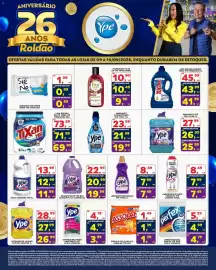 Folheto Roldão semana 37 Página 6: Tixan ypê - lava roupas líquido primavera €45,99, Flor - hidratante de ype tipos €10,90