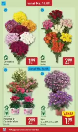 ALDI folder week 38 Pagina 32