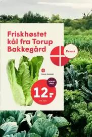 SPAR tilbudsavis uge 37 Side 10: Dansk Spidskål €12,00, Spidskål €12,00
