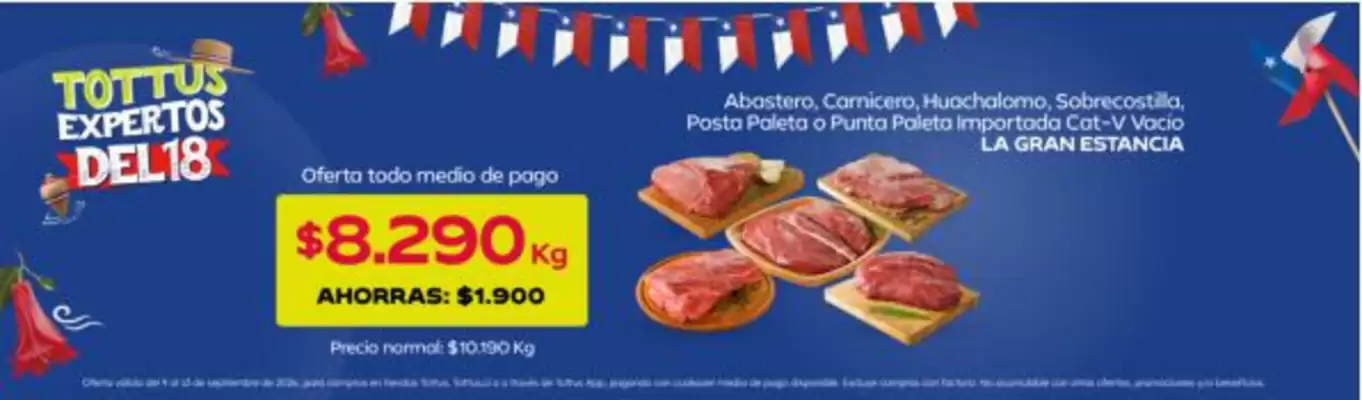 Tottus (válido hasta 9-09)