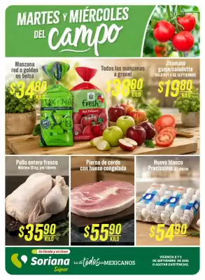 Soriana Súper (válido hasta 9-09)