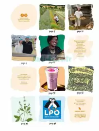 Catalogue Satoriz page 2