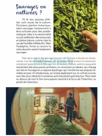 Catalogue Satoriz page 6